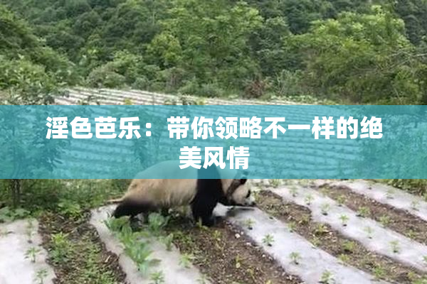 淫色芭乐：带你领略不一样的绝美风情
