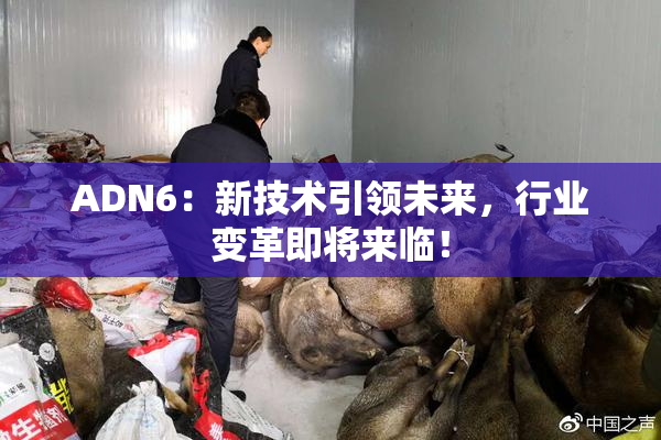 ADN6：新技术引领未来，行业变革即将来临！