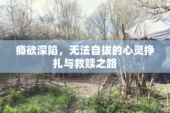 瘾欲深陷，无法自拔的心灵挣扎与救赎之路