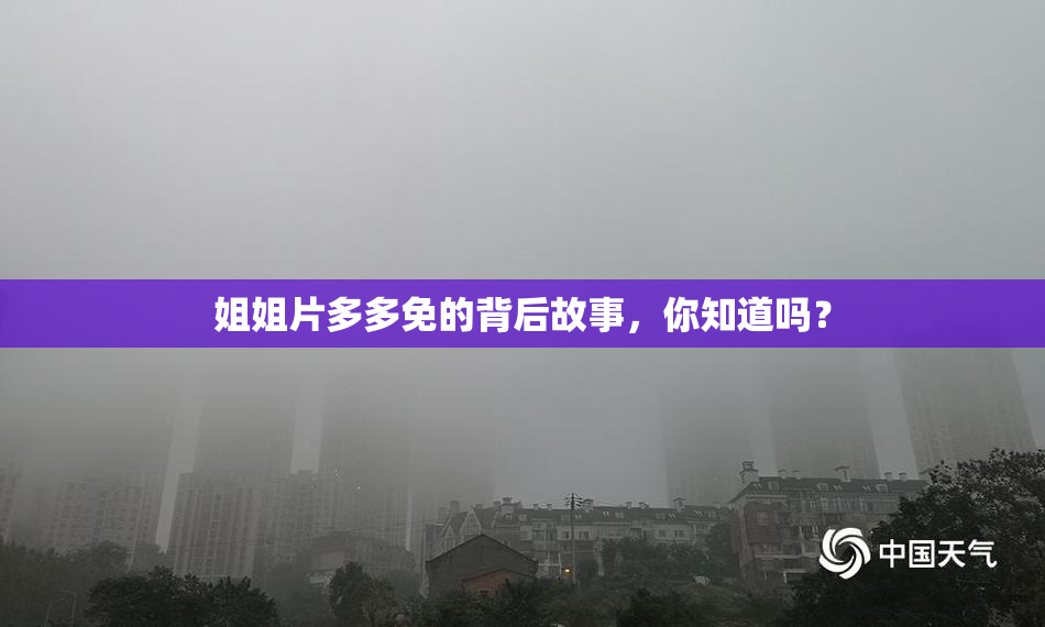 姐姐片多多免的背后故事，你知道吗？