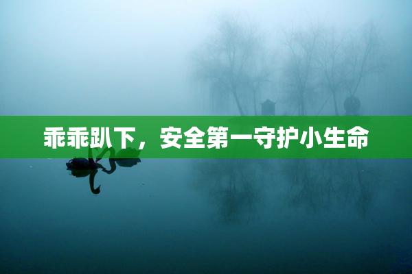 乖乖趴下，安全第一守护小生命