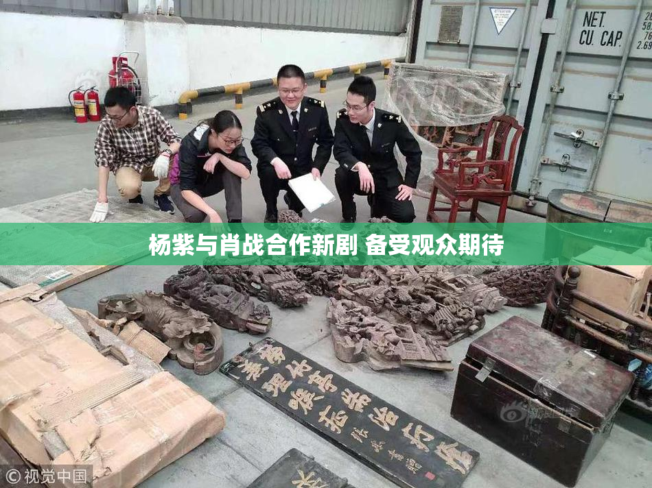杨紫与肖战合作新剧 备受观众期待