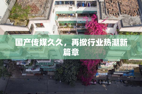国产传媒久久，再掀行业热潮新篇章