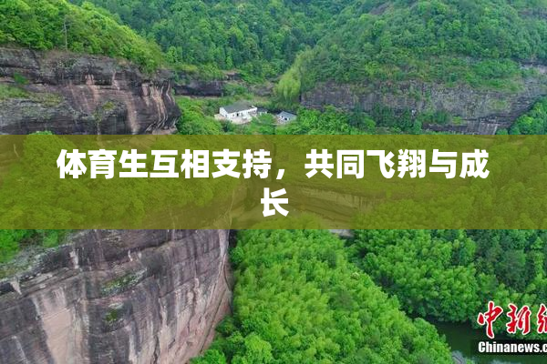 体育生互相支持，共同飞翔与成长