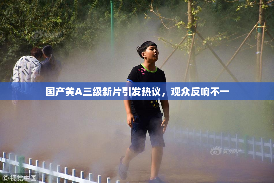 国产黄A三级新片引发热议，观众反响不一