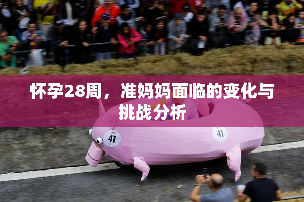 怀孕28周，准妈妈面临的变化与挑战分析