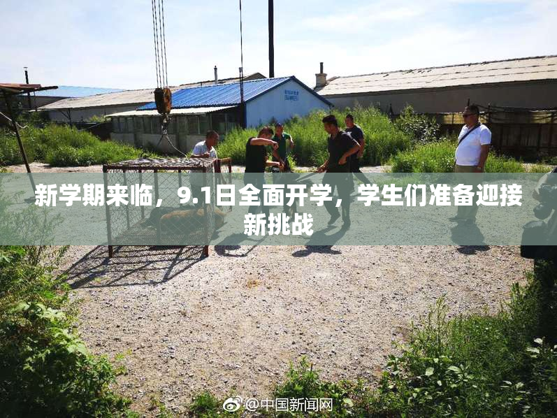 新学期来临，9.1日全面开学，学生们准备迎接新挑战