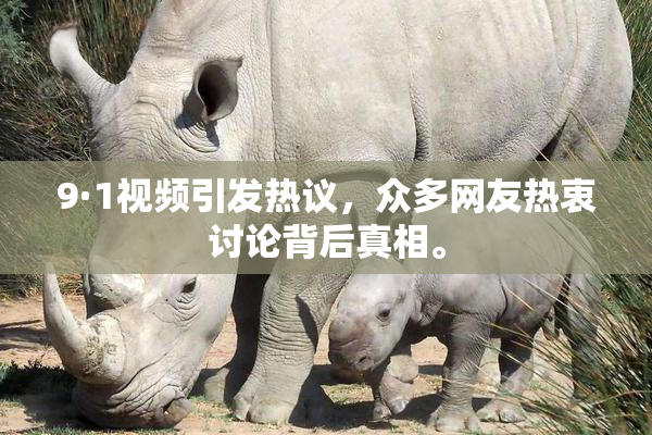 9·1视频引发热议，众多网友热衷讨论背后真相。