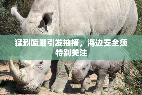 猛烈喷潮引发抽搐，海边安全须特别关注