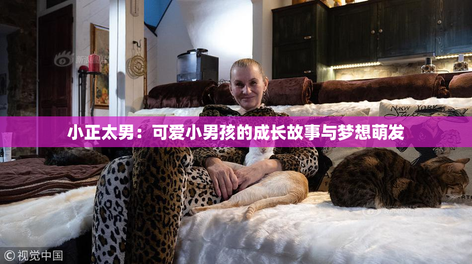 小正太男：可爱小男孩的成长故事与梦想萌发