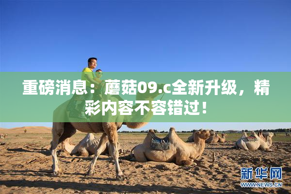 重磅消息：蘑菇09.c全新升级，精彩内容不容错过！