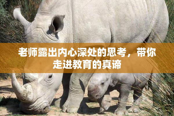 老师露出内心深处的思考，带你走进教育的真谛