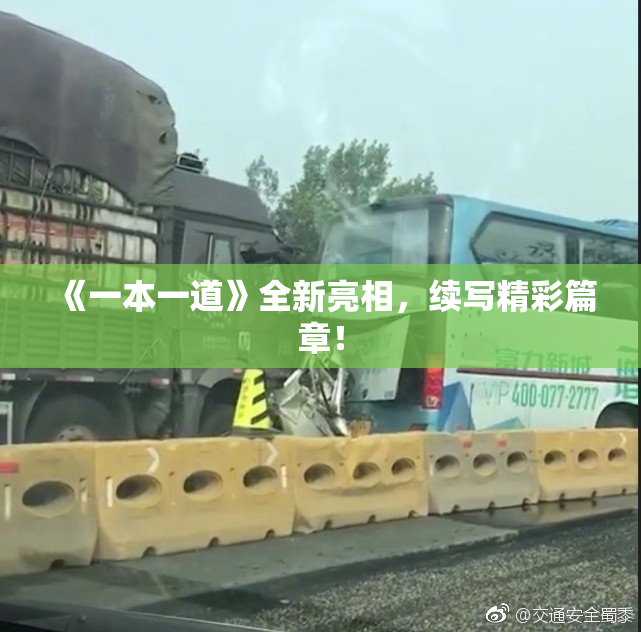 《一本一道》全新亮相，续写精彩篇章！