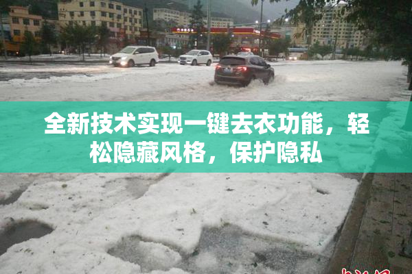 全新技术实现一键去衣功能，轻松隐藏风格，保护隐私