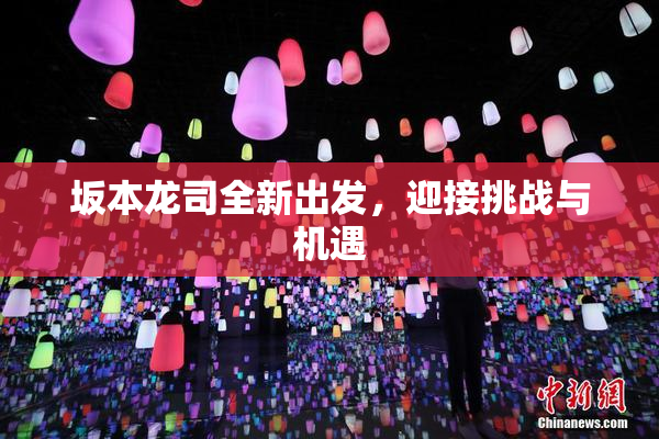 坂本龙司全新出发，迎接挑战与机遇