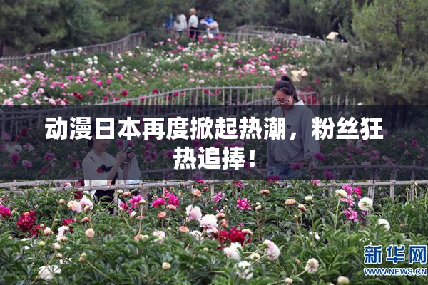 动漫日本再度掀起热潮，粉丝狂热追捧！