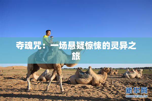 夺魂咒：一场悬疑惊悚的灵异之旅