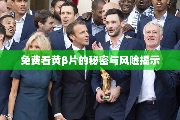 免费看黄β片的秘密与风险揭示