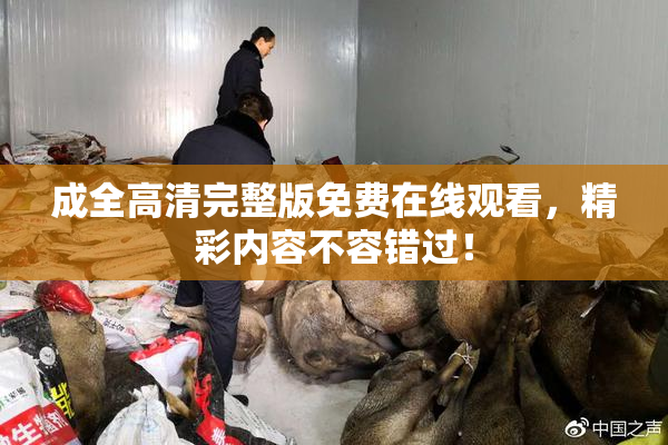 成全高清完整版免费在线观看，精彩内容不容错过！