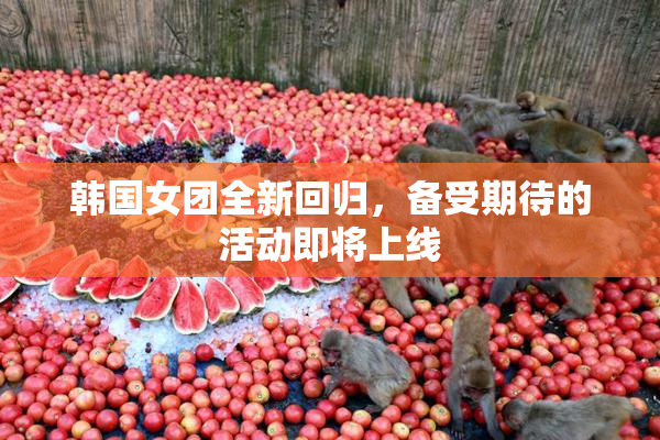 韩国女团全新回归，备受期待的活动即将上线