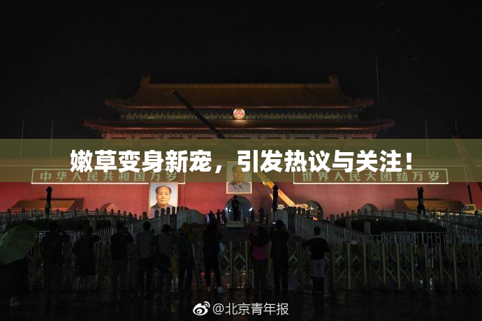 嫩草变身新宠，引发热议与关注！