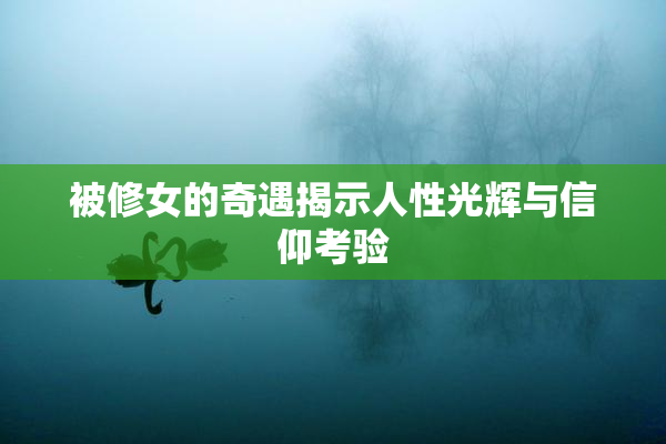 被修女的奇遇揭示人性光辉与信仰考验