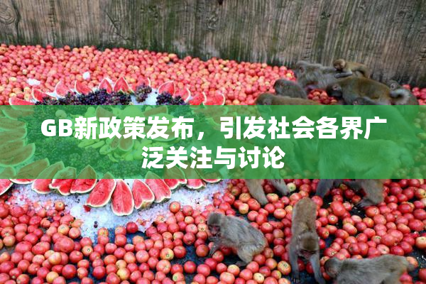 GB新政策发布，引发社会各界广泛关注与讨论