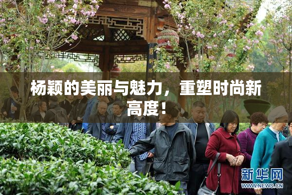 杨颖的美丽与魅力，重塑时尚新高度！
