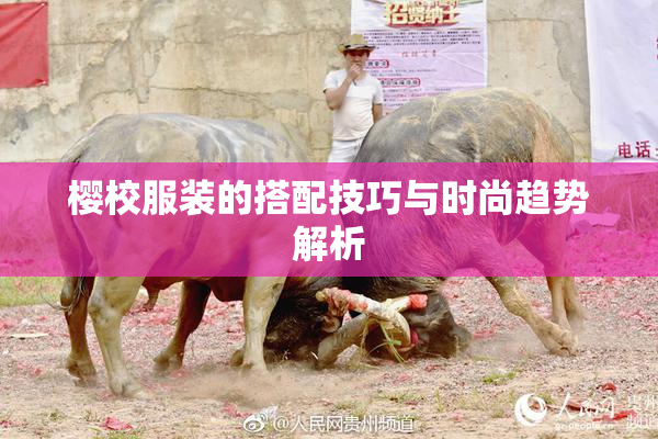樱校服装的搭配技巧与时尚趋势解析