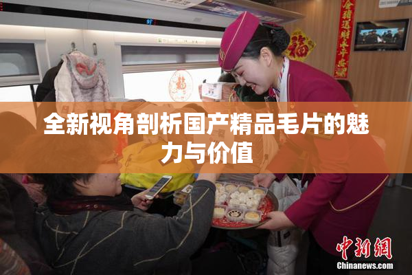 全新视角剖析国产精品毛片的魅力与价值