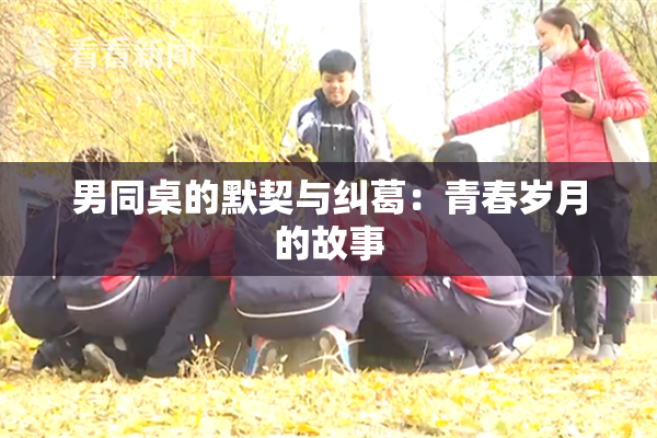 男同桌的默契与纠葛：青春岁月的故事