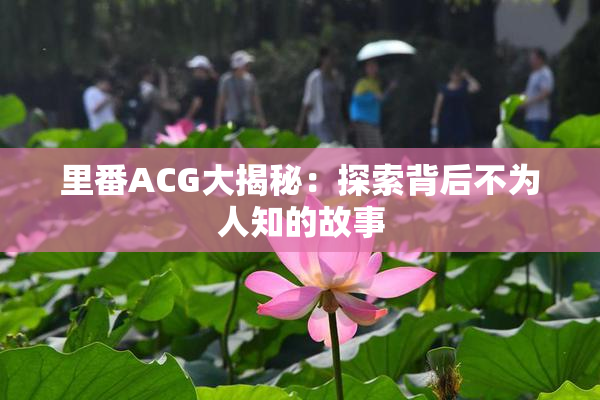 里番ACG大揭秘：探索背后不为人知的故事