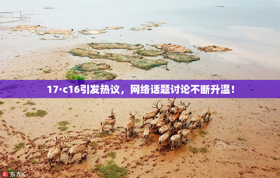 17·c16引发热议，网络话题讨论不断升温！