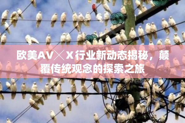 欧美AV╳Ⅹ行业新动态揭秘，颠覆传统观念的探索之旅