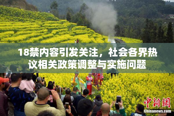18禁内容引发关注，社会各界热议相关政策调整与实施问题