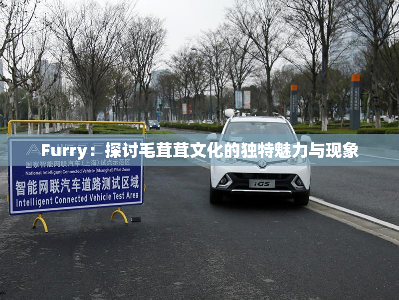 Furry：探讨毛茸茸文化的独特魅力与现象