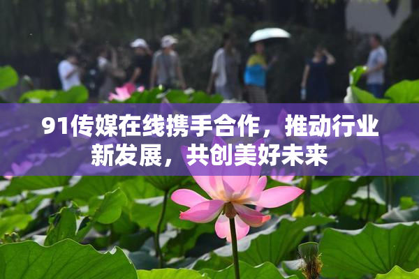 91传媒在线携手合作，推动行业新发展，共创美好未来