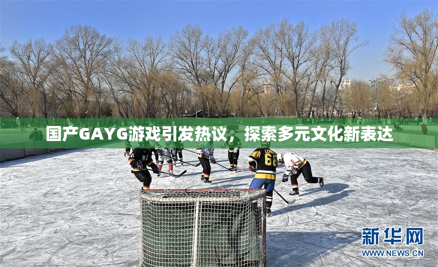 国产GAYG游戏引发热议，探索多元文化新表达