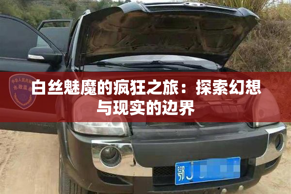 白丝魅魔的疯狂之旅：探索幻想与现实的边界