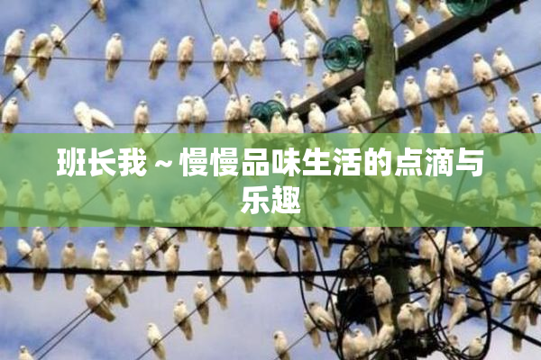 班长我～慢慢品味生活的点滴与乐趣