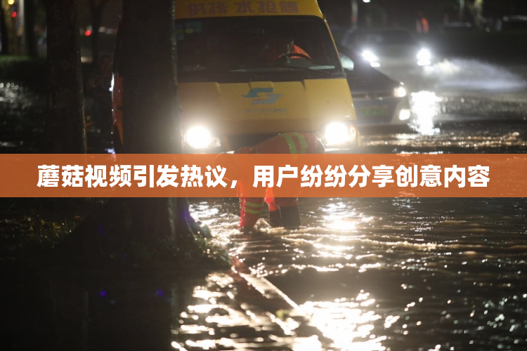 蘑菇视频引发热议，用户纷纷分享创意内容