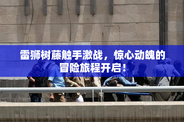 雷狮树藤触手激战，惊心动魄的冒险旅程开启！