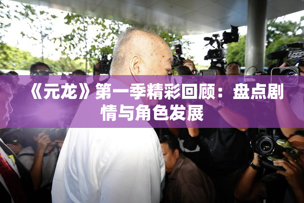 《元龙》第一季精彩回顾：盘点剧情与角色发展