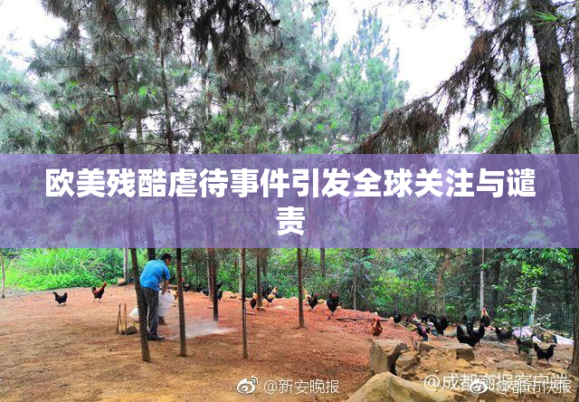 欧美残酷虐待事件引发全球关注与谴责