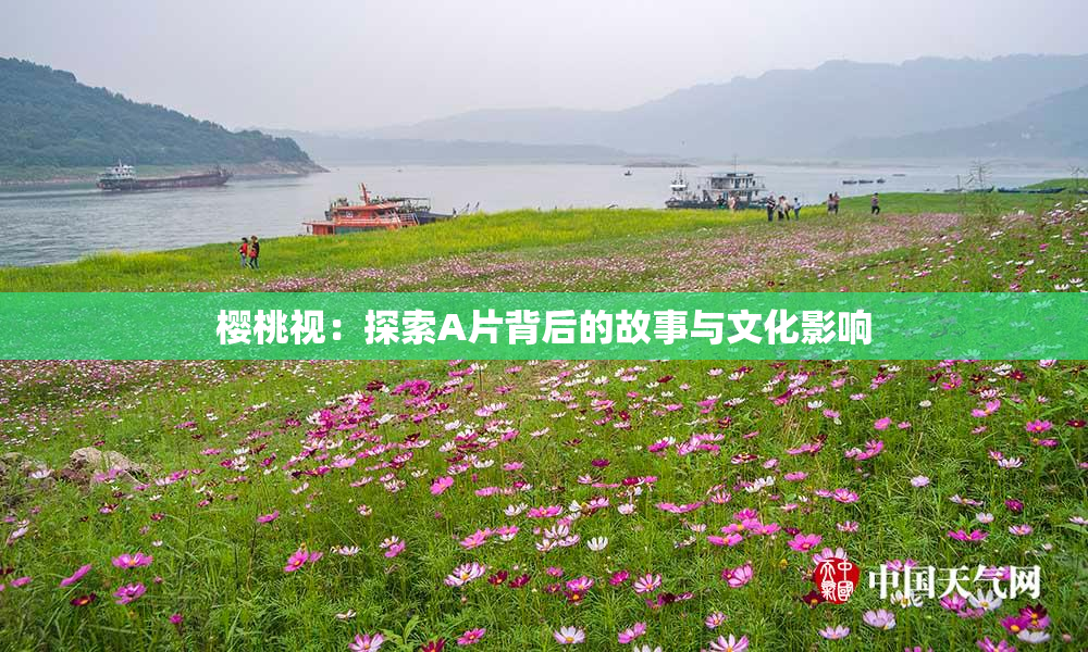 樱桃视：探索A片背后的故事与文化影响