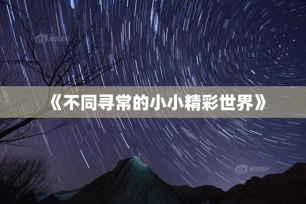 《不同寻常的小小精彩世界》