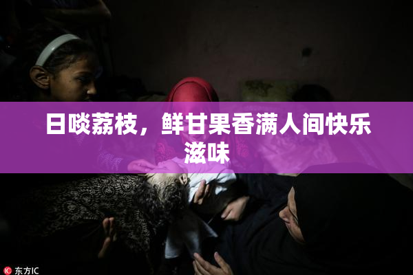 日啖荔枝，鲜甘果香满人间快乐滋味
