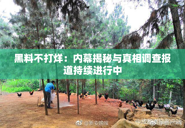 黑料不打烊：内幕揭秘与真相调查报道持续进行中