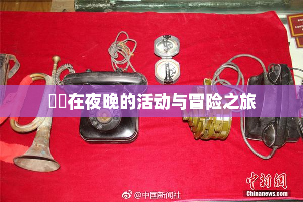妺妺在夜晚的活动与冒险之旅