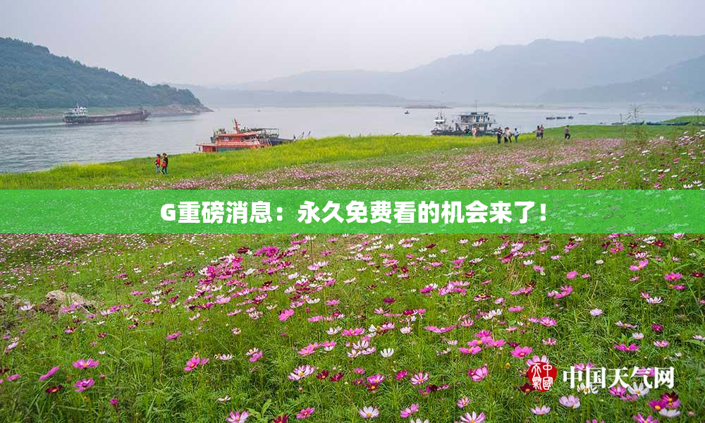 G重磅消息：永久免费看的机会来了！